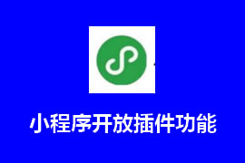 微信小程序開(kāi)放插件功能【廣州網(wǎng)站建設(shè)】